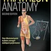 Triathlon Anatomy – Mark Klion, 2nd Edition (Original PDF from Publisher)