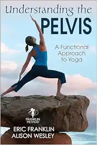 Understanding the Pelvis: A Functional Approach to Yoga (EPUB)