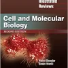 Lippincott Illustrated Reviews: Cell and Molecular Biology, 2nd edition (EPUB)