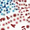 American Disgust: Racism, Microbial Medicine, and the Colony Within (Original PDF from Publisher)
