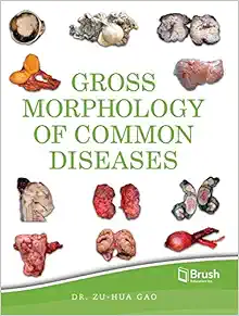 Gross Morphology of Common Diseases (EPUB)