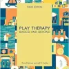 Play Therapy: Basics and Beyond, 3rd Edition (Original PDF from Publisher)