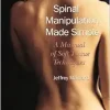Spinal Manipulation Made Simple: A Manual of Soft Tissue Techniques, 1st Edition (EPUB)