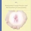 Stillness: Biodynamic Cranial Practice and the Evolution of Consciousness, 1st Edition (EPUB)