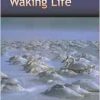 The Bardo of Waking Life (EPUB)