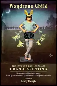 Wondrous Child: The Joys and Challenges of Grandparenting (Io Series) (EPUB)
