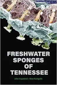 Freshwater Sponges of Tennessee (EPUB)