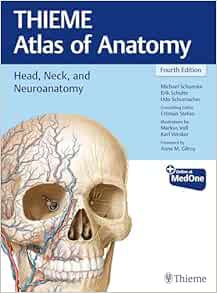 Head, Neck, and Neuroanatomy (THIEME Atlas of Anatomy), 4th edition (EPUB)