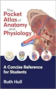 The Pocket Atlas of Anatomy and Physiology (Original PDF from Publisher)