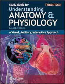 Study Guide for Understanding Anatomy & Physiology: A Visual, Auditory, Interactive Approach, 4th Edition (Original PDF from Publisher)