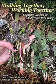 Walking Together, Working Together: Engaging Wisdom for Indigenous Well-Being (Patterns of Northern Traditional Healing Series) (Original PDF from Publisher)