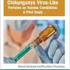 Chikungunya Virus-Like Particles as Vaccine Candidates: A Pilot Study (Original PDF from Publisher)