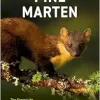 Pine Marten: The Secret Life of Martes martes (EPUB)