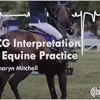 ECG Interpretation in Equine Practice (EPUB)
