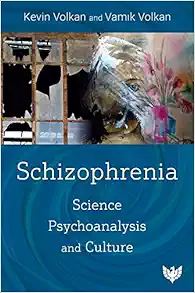 Schizophrenia: Science, Psychoanalysis, and Culture (EPUB)