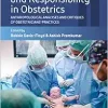 Cognition, Risk, and Responsibility in Obstetrics: Anthropological Analyses and Critiques of Obstetricians’ Practices (The Anthropology of Obstetrics … Reproduction of a Biomedical Profession, 2) (Original PDF from Publisher)