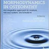 Foundations of Morphodynamics in Osteopathy: An Integrative Approach to Cranium, Nervous System, and Emotions (Original PDF from Publisher)