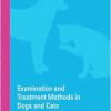 Examination and Treatment Methods in Dogs and Cats: 2nd Edition (EPUB)