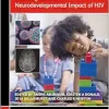 Recent Advances in the Neurological and Neurodevelopmental Impact of HIV (International Review of Child Neurology) (EPUB)