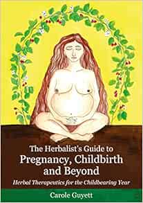 The Herbalist’s Guide to Pregnancy, Childbirth and Beyond (EPUB)