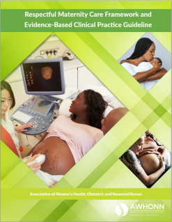 Respectful Maternity Care Framework and Evidence-Based Clinical Practice Guideline (Original PDF from Publisher)