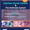 Uterine Cervix Cancer The Bethesda System: CMAS # 3 (CytoJournal Monograph / Atlas Series) (Original PDF from Publisher)