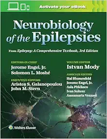 Neurobiology of the Epilepsies (Original PDF from Publisher)
