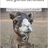 L’élevage des grands camélidés (Original PDF from Publisher)