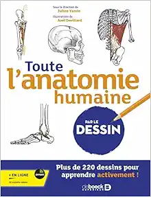 Toute l’anatomie humaine par le dessin: Plus de 220 dessins pour apprendre activement ! (Original PDF from Publisher)
