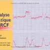 Analyse pratique du RCF (French Edition) (Original PDF from Publisher)