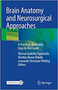 Brain Anatomy and Neurosurgical Approaches: A Practical, Illustrated, Easy-to-Use Guide (Original PDF from Publisher)