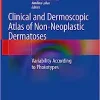 Clinical and Dermoscopic Atlas of Non-Neoplastic Dermatoses: Variability According to Phototypes (EPUB)