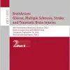 Brainlesion: Glioma, Multiple Sclerosis, Stroke and Traumatic Brain Injuries (Lecture Notes in Computer Science) (Original PDF from Publisher)