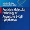 Precision Molecular Pathology of Aggressive B-Cell Lymphomas (Molecular Pathology Library) (EPUB)