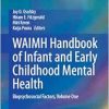 WAIMH Handbook of Infant and Early Childhood Mental Health: Biopsychosocial Factors, Volume One (EPUB)