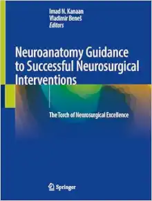 Neuroanatomy Guidance to Successful Neurosurgical Interventions: The Torch of Neurosurgical Excellence (Original PDF from Publisher)