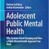 Adolescent Public Mental Health: Why Systems Need Changing and How a Public Mental Health Approach Can Work (Original PDF from Publisher)