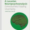 A Lacanian Neuropsychoanalysis: Consciousness Enjoying Uncertainty (The Palgrave Lacan Series) (EPUB)