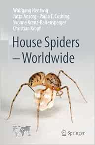 House Spiders – Worldwide (Original PDF from Publisher)