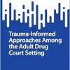 Trauma-Informed Approaches Among the Adult Drug Court Setting (SpringerBriefs in Offending Populations & Correctional Psychotherapy) (Original PDF from Publisher)