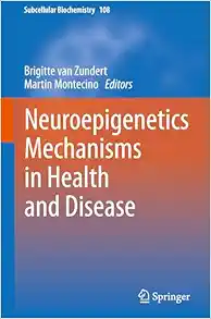Neuroepigenetics Mechanisms in Health and Disease (Subcellular Biochemistry, 108) (Original PDF from Publisher)