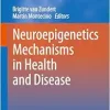 Neuroepigenetics Mechanisms in Health and Disease (Subcellular Biochemistry, 108) (EPUB)
