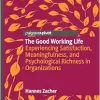 The Good Working Life: Experiencing Satisfaction, Meaningfulness, and Psychological Richness in Organizations (Original PDF from Publisher)