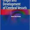 Origin and Development of Cerebral Vessels (Original PDF from Publisher)