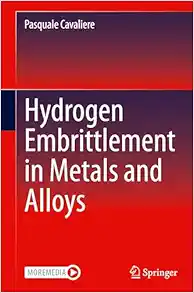Hydrogen Embrittlement in Metals and Alloys (EPUB)