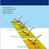 SOPs in der Urologie (Original PDF from Publisher)