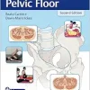 Fitness for the Pelvic Floor, 2nd edition (Original PDF from Publisher)