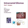 Intracranial Gliomas: Surgery (Progress in Neurological Surgery) (EPUB)