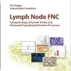Lymph Node Fnc: Cytopathology of Lymph Nodes and Extranodal Lymphoproliferative Processes (Monographs in Clinical Cytology) (EPUB)