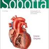 Sobotta, Atlas der Anatomie Band 2: Innere Organe, 25th ed (True PDF)